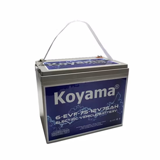 12V 75ah Deep Cycle Motive Power Electric Vehicle Battery 6-Evf-75