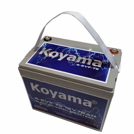 12V 75ah Deep Cycle Motive Power Electric Vehicle Battery 6-Evf-75
