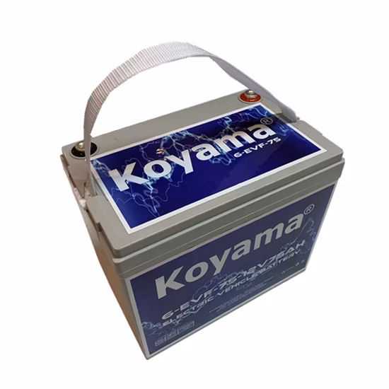 12V 75ah Deep Cycle Motive Power Electric Vehicle Battery 6-Evf-75