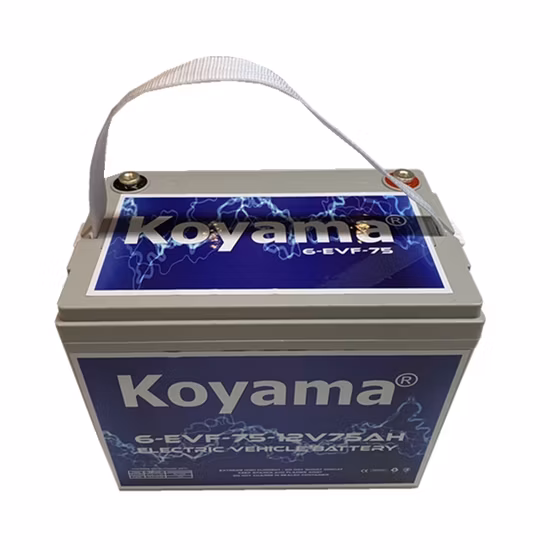 12V 75ah Deep Cycle Motive Power Electric Vehicle Battery 6-Evf-75