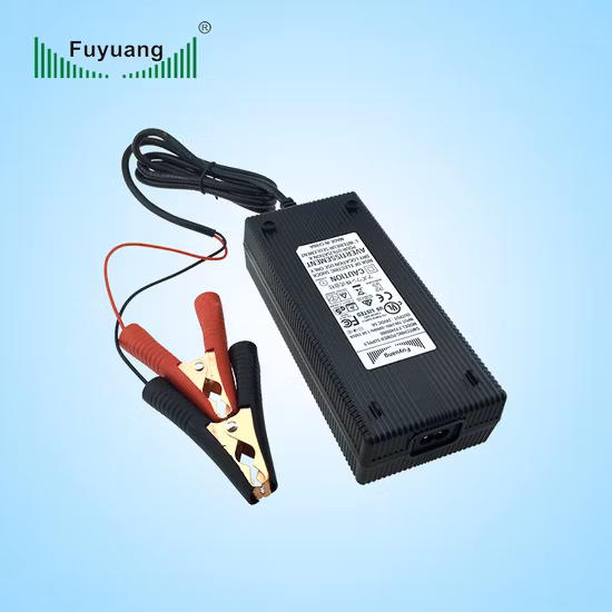 Caricabatterie per veicoli elettrici LiFePO4 58,4 V 3,5 A