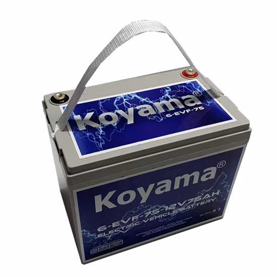 Batteria elettrica per forza motrice a ciclo profondo 12V 75ah 6-Evf-75